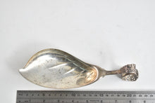 Load image into Gallery viewer, Sterling Silver Tiffany &amp; Co Grape Vine Modified Ice Cream Serving Spoon