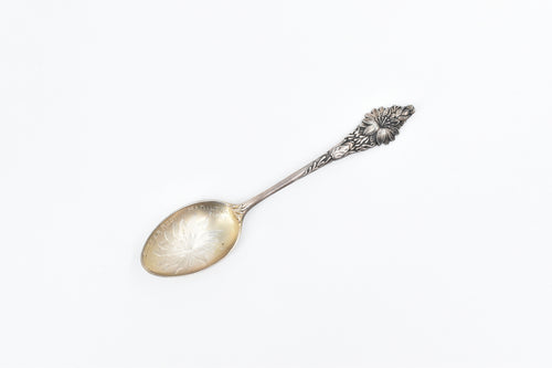 Sterling Silver Bitter Root Hamilton Montana Engraved Souvenir Spoon