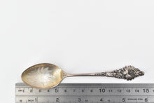 Load image into Gallery viewer, Sterling Silver Bitter Root Hamilton Montana Engraved Souvenir Spoon