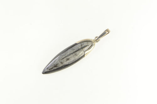 Sterling Silver Authentic Orthoceras Cephalopod Fossil Pendant