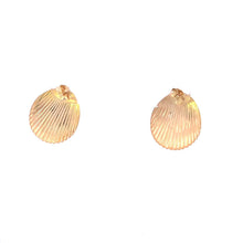 Load image into Gallery viewer, 14K Scalloped Vintage Sea Shell Ocean Motif Earrings Yellow Gold