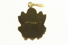 Load image into Gallery viewer, 14K Great Seal of the United States Eagle Shield Charm/Pendant Yellow Gold