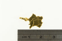 Load image into Gallery viewer, 14K France Country Map Geographic Travel Charm/Pendant Yellow Gold