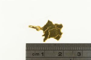 14K France Country Map Geographic Travel Charm/Pendant Yellow Gold