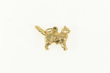 Load image into Gallery viewer, 14K 3D Maine Coon Cat Kitten Breed Animal Pet Charm/Pendant Yellow Gold