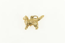 Load image into Gallery viewer, 14K 3D Maine Coon Cat Kitten Breed Animal Pet Charm/Pendant Yellow Gold