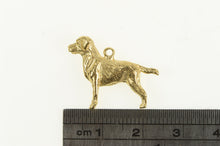 Load image into Gallery viewer, 14K Labrador Retriever 3D Dog Breed Pet Puppy Charm/Pendant Yellow Gold