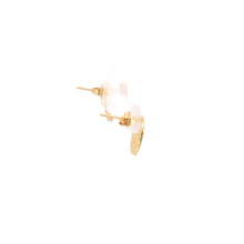 Load image into Gallery viewer, 14K Sand Dollar Sea Shell Ocean Beach Motif Stud Earrings Yellow Gold
